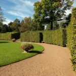 new landscaped garden Allenwood